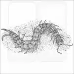 Eastern Bark Centipede black and white drawing