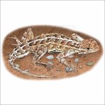 Prairie Earless Lizard illustration