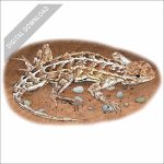 Prairie Earless Lizard stock art drawing