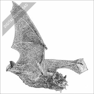 Silver-Haired Bat black and white stock drawing