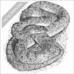 Glossy Snake black and white stock drawing