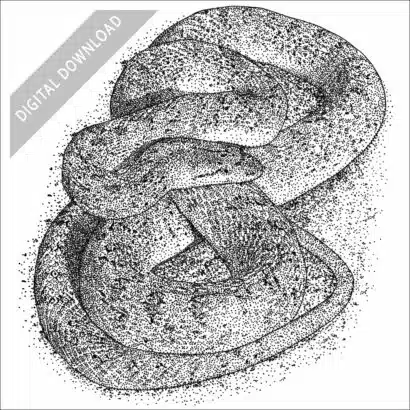 Glossy Snake black and white stock drawing