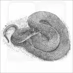Plain-Bellied Watersnake black and white drawing