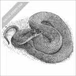 Plain-Bellied Watersnake black and white stock drawing