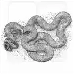 Ring-Necked Snake - Signed Fine Art Print - Image 2