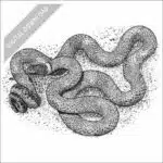 Ring-Necked Snake black and white stock art drawing