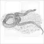 Smooth Greensnake black and white drawing