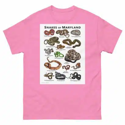 Snakes of Maryland - Unisex classic tee - Image 12