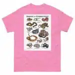 Snakes of Connecticut - Unisex classic tee - Image 12