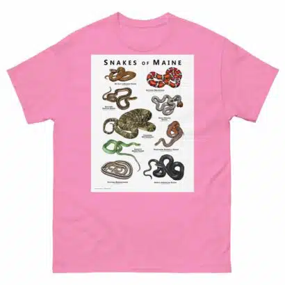 Snakes of Maine - Unisex classic tee - Image 12