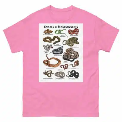 Snakes of Massachusetts - Unisex classic tee - Image 12