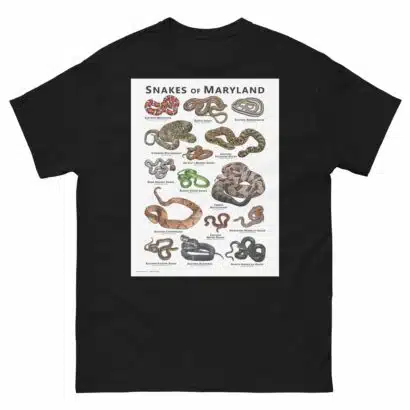 Snakes of Maryland - Unisex classic tee - Image 2