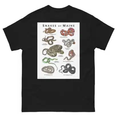 Snakes of Maine - Unisex classic tee - Image 2