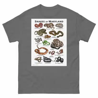 Snakes of Maryland - Unisex classic tee - Image 6