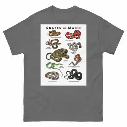 Snakes of Maine - Unisex classic tee - Image 6