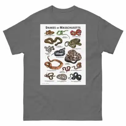 Snakes of Massachusetts - Unisex classic tee - Image 6