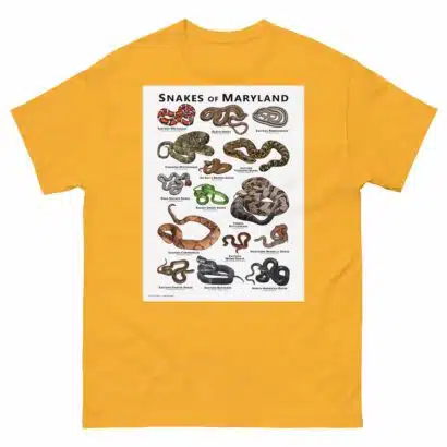 Snakes of Maryland - Unisex classic tee - Image 14