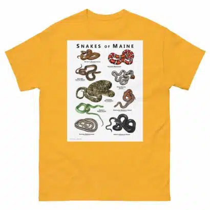 Snakes of Maine - Unisex classic tee - Image 14