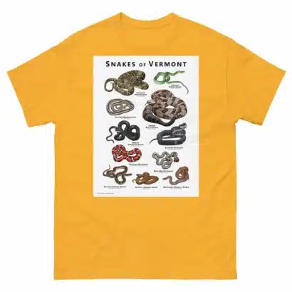 Snakes of Vermont - Unisex classic tee - Image 14