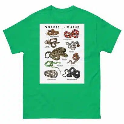Snakes of Maine - Unisex classic tee - Image 10