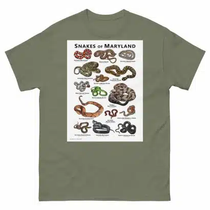 Snakes of Maryland - Unisex classic tee - Image 8