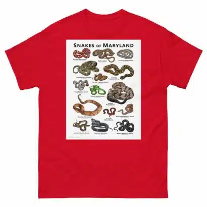 Snakes of Maryland - Unisex classic tee - Image 4