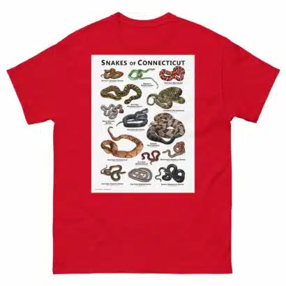 Snakes of Connecticut - Unisex classic tee - Image 4