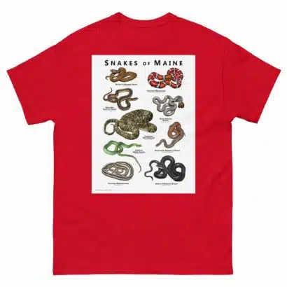 Snakes of Maine - Unisex classic tee - Image 4