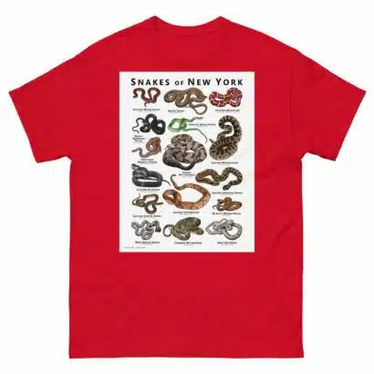 Snakes of New York State - Unisex classic tee - Image 4
