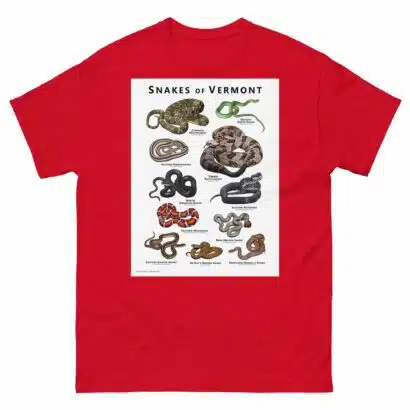 Snakes of Vermont - Unisex classic tee - Image 4