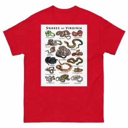 Snakes of Virginia - Unisex classic tee - Image 3