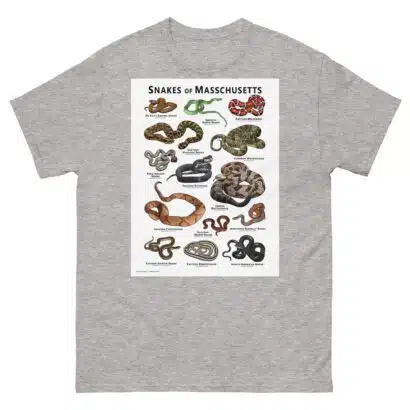 Snakes of Massachusetts - Unisex classic tee - Image 16