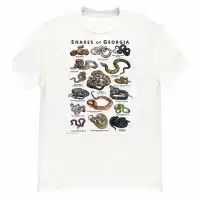 Snakes of Georgia illustration