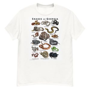 Snakes of Georgia illustration