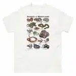 Snakes of Maryland illustration