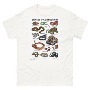 Snakes of Connecticut illustration