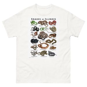 Snakes of Illinois illustration