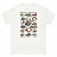 Snakes of Kentucky illustration