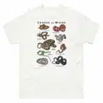 Snakes of Maine illustration