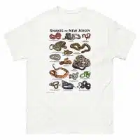 Snakes of New Jersey Illustration