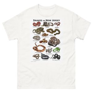 Snakes of New Jersey Illustration