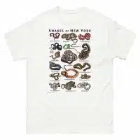 Snakes of New York illustration