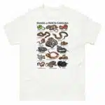 Snakes of North Carolina illustration