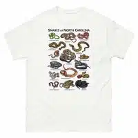 Snakes of North Carolina illustration