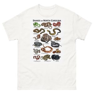 Snakes of North Carolina illustration