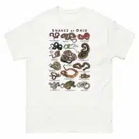 Snakes of Ohio illustration