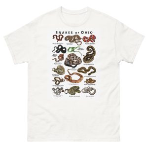 Snakes of Ohio illustration