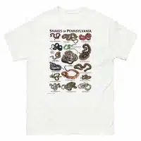 Snakes of Pennsylvania illustration