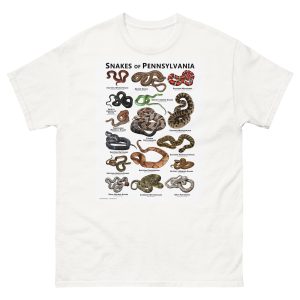 Snakes of Pennsylvania illustration