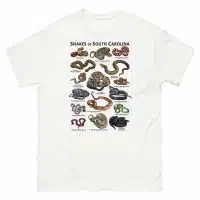 Snakes of South Carolina illustration